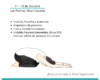 FORMACIÓN YIN YOGA